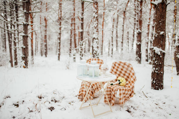 istock Picnic in the winter forest 696329780