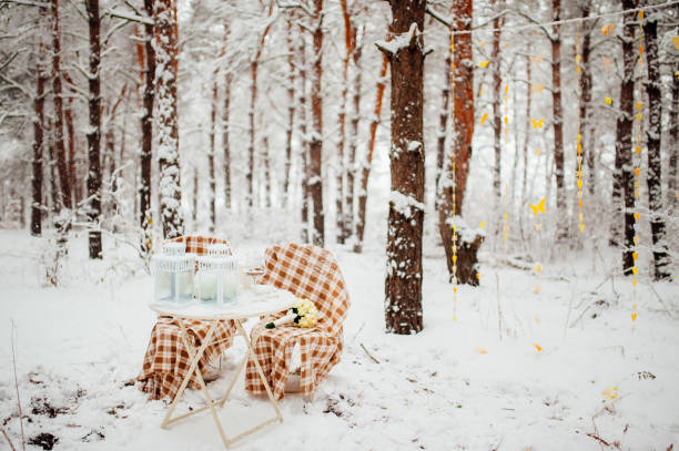 istock Picnic in the winter forest 696329820