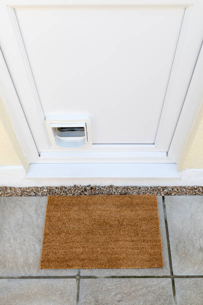 istock Door mat by back door with cat flap 696330950