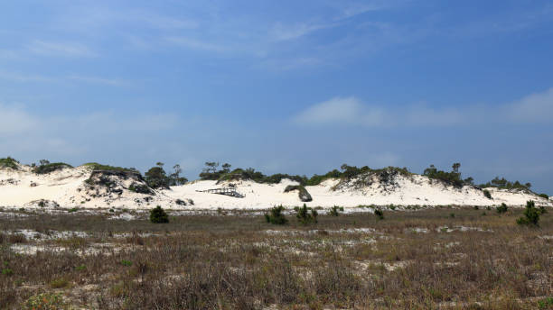istock Remnants of a boardwalk  on a mature sand dune 696331098