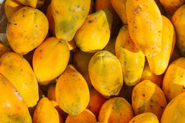 Pile of yellow papayas stacked in a fruit shop stock photo