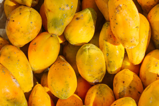 pilha de mamão amarelo empilhados em uma loja de fruta - papaieira - fotografias e filmes do acervo