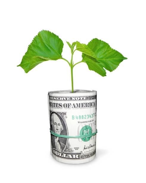 istock investment financial business 696334084