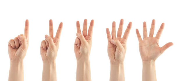 istock Beautiful female hand count from one to five gesture. Isolated on white background 696334198