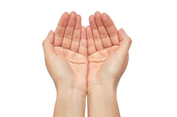 istock Beautiful female hand prays gesture. Isolated on white background 696334202