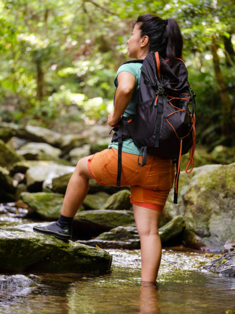istock Exploring a Tropical Rainforest in Okinawa Japan 696338160