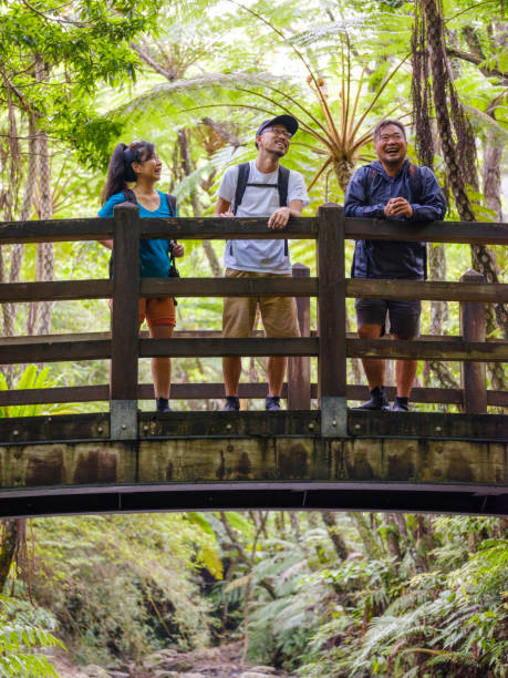 istock Exploring a Tropical Rainforest in Okinawa Japan 696338970
