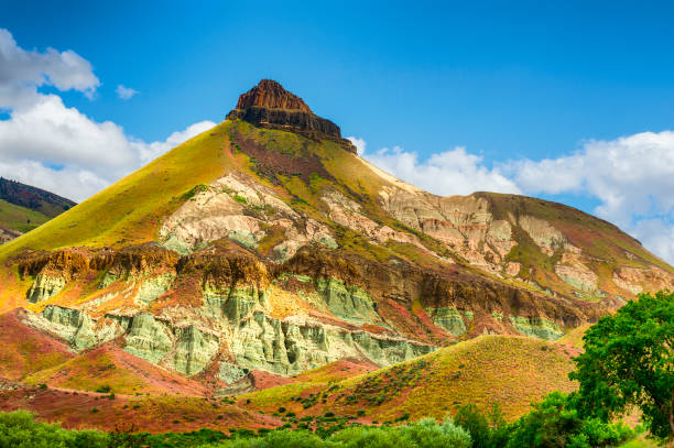 istock Sheep Rock John Day Fossil Beds 696342524
