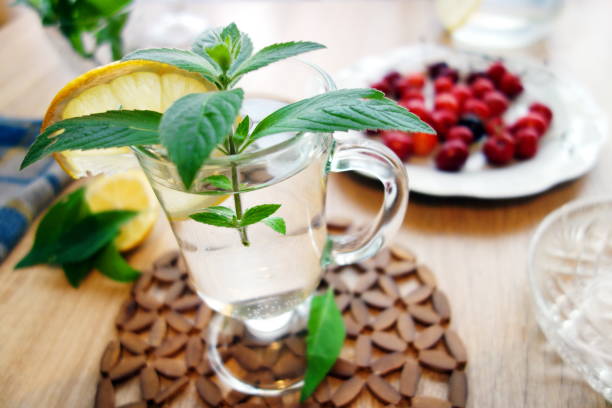 istock Tonic water with mint and lemon 696346070