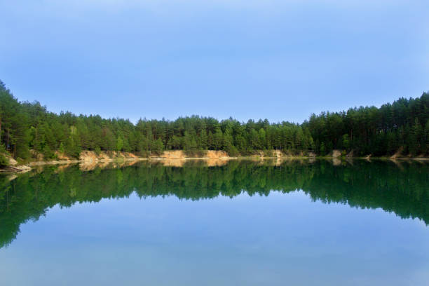 istock beautiful lake in the forest 696346860