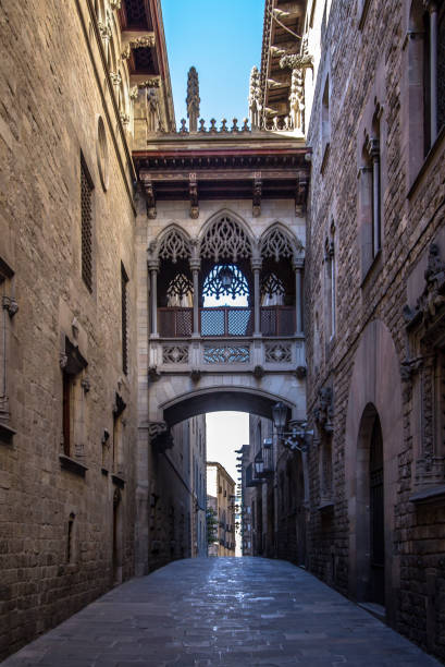 istock Neogothic bridge at Carrer del Bisbe in Barcelona 696347010