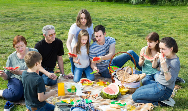 istock Laughing people sitting and talking on picnic 696349052