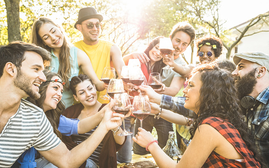 Group of friends toasting red wine having fun outdoor cheering at bbq picnic - Young people enjoying summer time together at lunch garden party - Youth friendship concept - Focus on clinking glasses