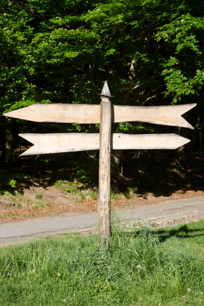 istock wooden sign by the forest 696361624