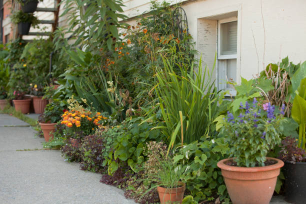 istock Sidewalk flower garden 696365304