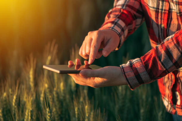 ingénieur agronome à l’aide de l’application mobile de téléphone intelligent - skill agriculture horizontal outdoors photos et images de collection