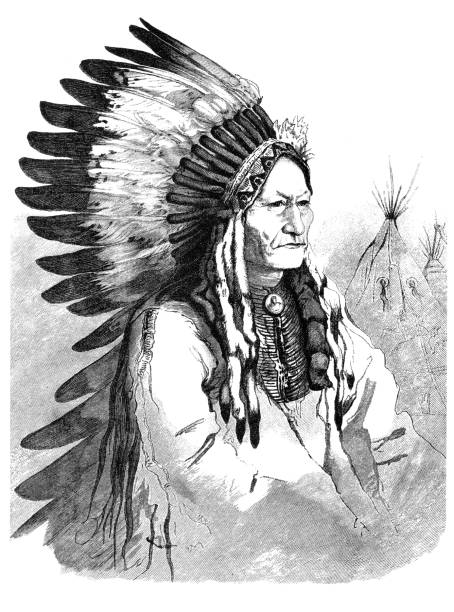 ilustraciones, imágenes clip art, dibujos animados e iconos de stock de grabado 1882 de nativo americano jefe sentada bull - chief sitting bull