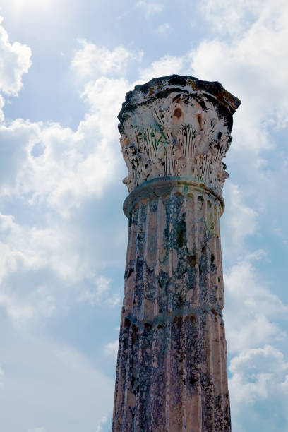 単一のアンティークの大理石の柱 - column pedestal greek culture washington dc ストックフォトと画像