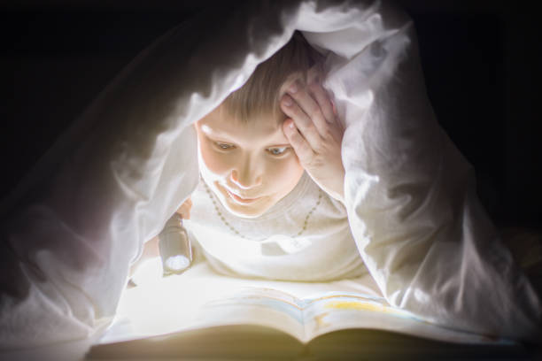 istock Children bedtime. Brother are reading a book under a blanket with flashlight. Pretty young boy having fun in children room. 696377200