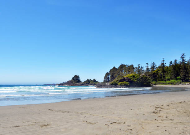 istock Cox Bay in Tofino 696383392