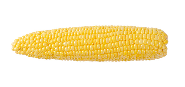 ripe corn cob on off-white background with shadows