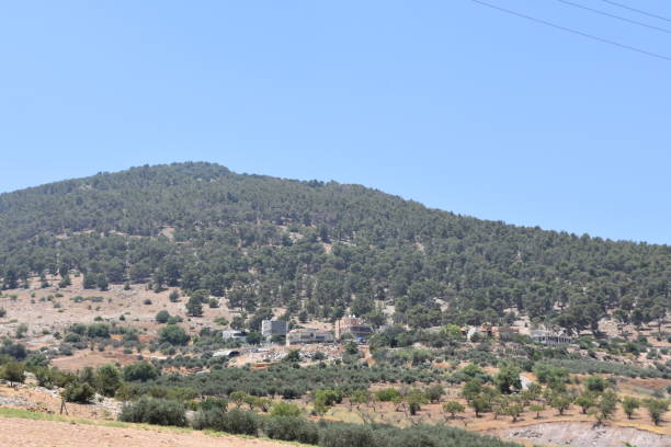 istock Tavor mountain, israel 696387794