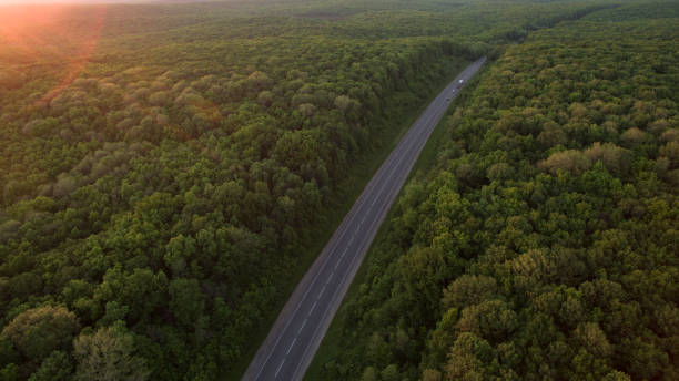 istock Forest and road removed from the dron at sunrise. 696391450