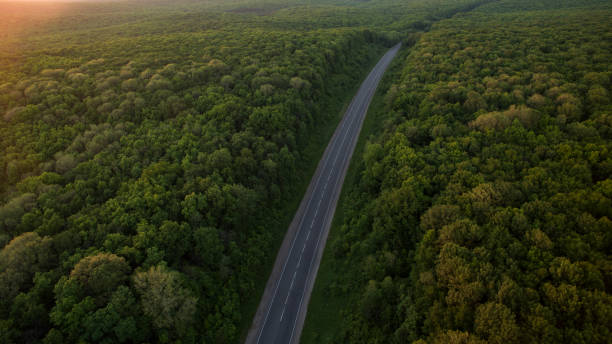 istock Forest and road removed from the dron at sunrise. 696391498
