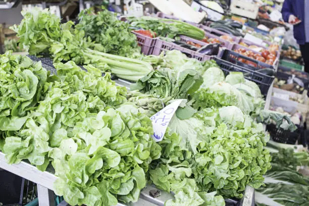 Lettuce district greengrocers with vegetables and fruits, trade