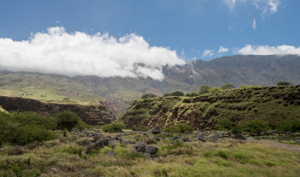 estrada passado hana a volta por trás do haleakala em maui - haleakala national park mountain winding road road - fotografias e filmes do acervo