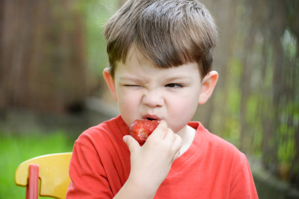 istock Little boy eating strawberry 696403344