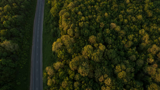 istock Beautiful scenery with a drone 696405854