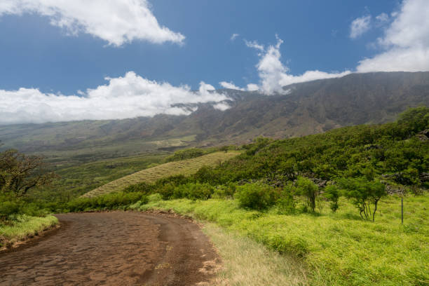 도 하나 마우이 haleakala의 뒷면 주위 과거 - haleakala national park mountain winding road road 뉴스 사진 이미지