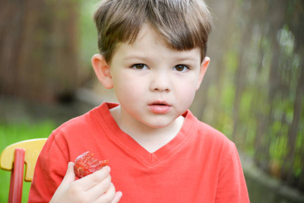 istock Little boy eating strawberry 696405868