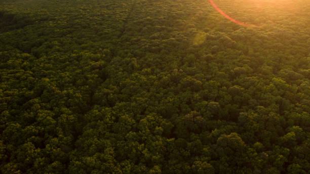 istock Beautiful scenery with a drone 696406210