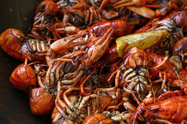 istock Portion of cooked red crawfish platter close up 696406722