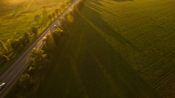 istock Forest and road removed from the dron at sunrise. 696408856