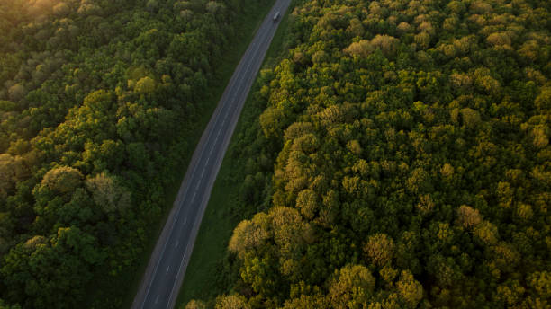 istock Forest and road removed from the dron at sunrise. 696409076