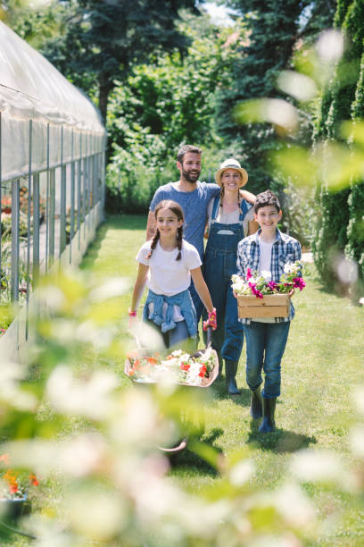 istock Family working in botanical garden together 696409680