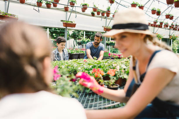 istock Family working in botanical garden together 696410516