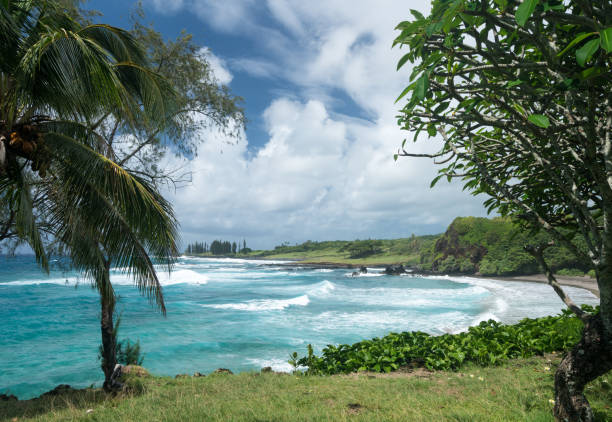 пляж хамоа возле ханы на гавайском острове мауи - hana maui sea scenics стоковые фото и изображения