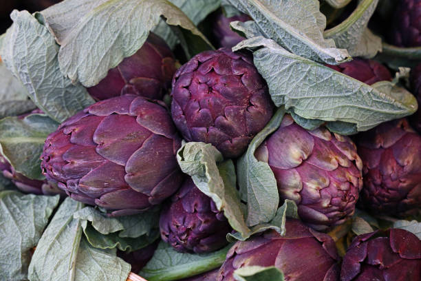 istock Purple fresh globe artichokes on market display 696411374