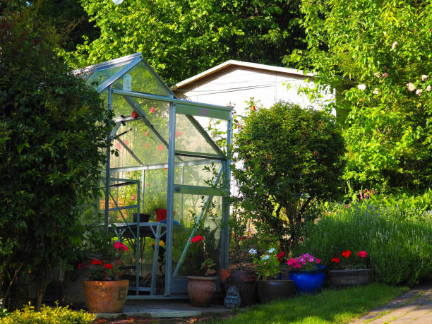 istock Garden greenhouse 696414826