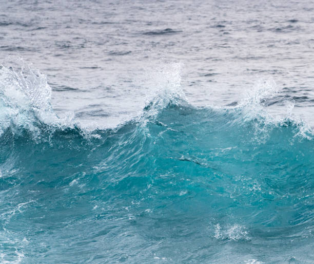 istock Frozen motion of ocean waves off Hawaii 696414894
