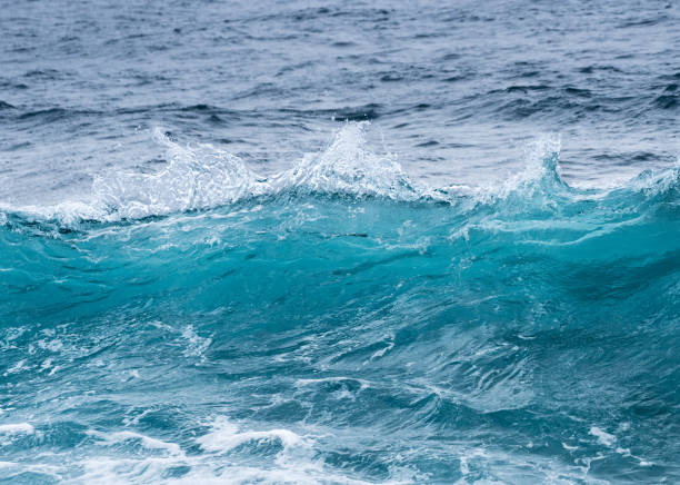 istock Frozen motion of ocean waves off Hawaii 696417098