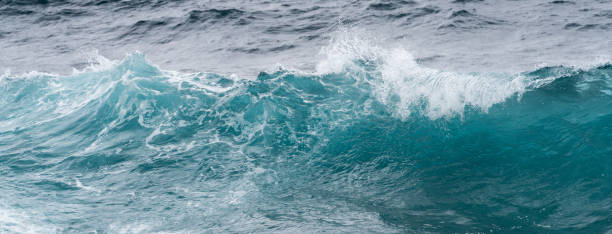 istock Frozen motion of ocean waves off Hawaii 696417436