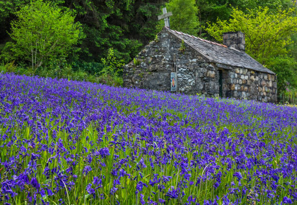 istock St John's Episcopal Church, Ballachulish 696418912