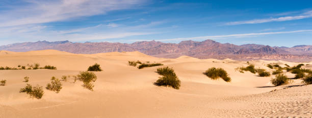 ландшафт; природа; пустыня; песок; оранжевый; шаблон; долины; парк; национальный; на открытом воздухе; пустыня; желтый цвет; калифорния; сухой; - sand dune sand orange california стоковые фото и изображения