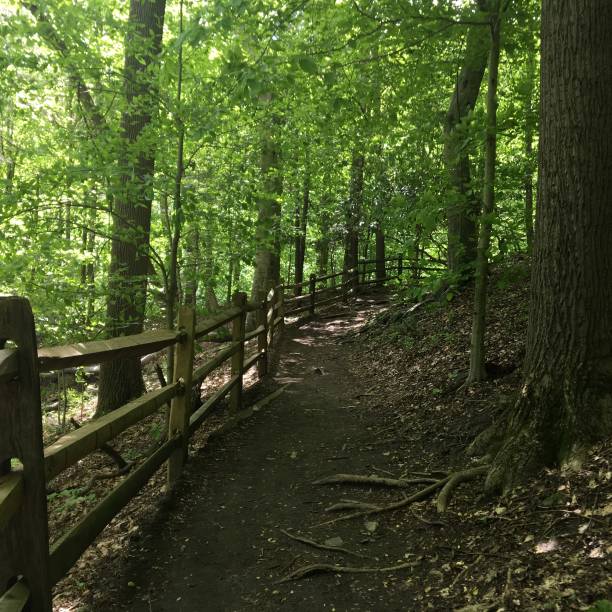 istock Walking Along a Fenced Trail 696425538