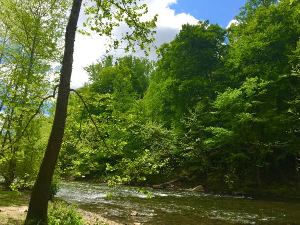 istock A Sunny Spring Day on the Patapsco River 696425592